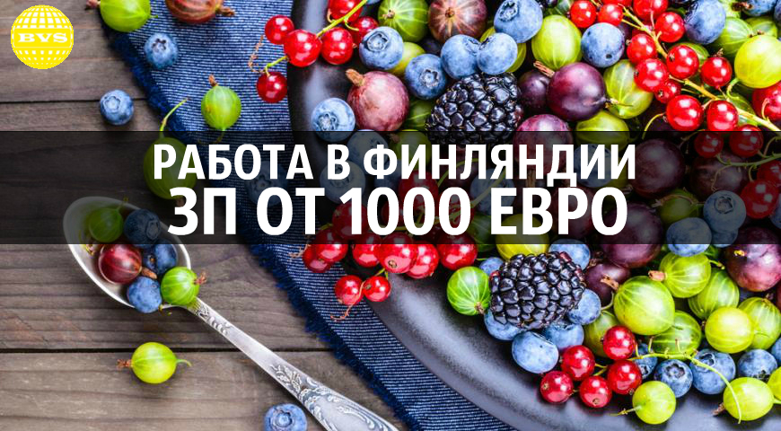 bc4c13e5112.jpg.pagespeed.ce.fkOshK3mjU