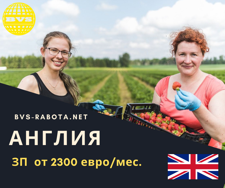 engl_bvs-rabota.net