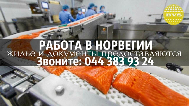 норвегия 11